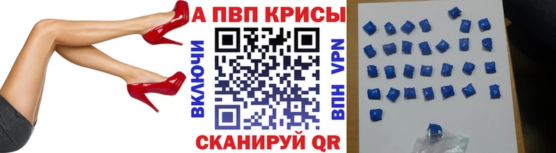 APVP СК КРИС Каргополь