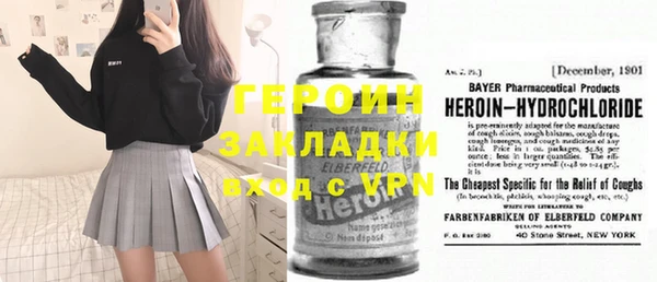 хмурый Аркадак