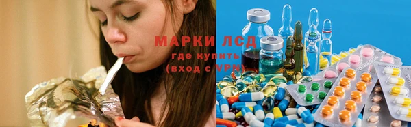 хмурый Аркадак