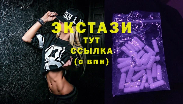 хмурый Аркадак