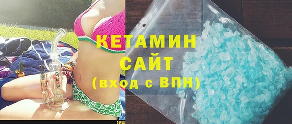 хмурый Аркадак