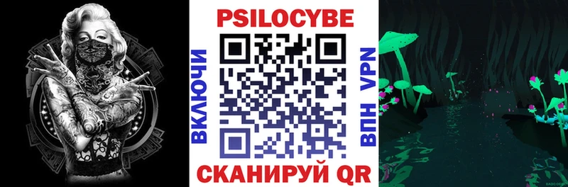Галлюциногенные грибы Psilocybe  сколько стоит  Каргополь 